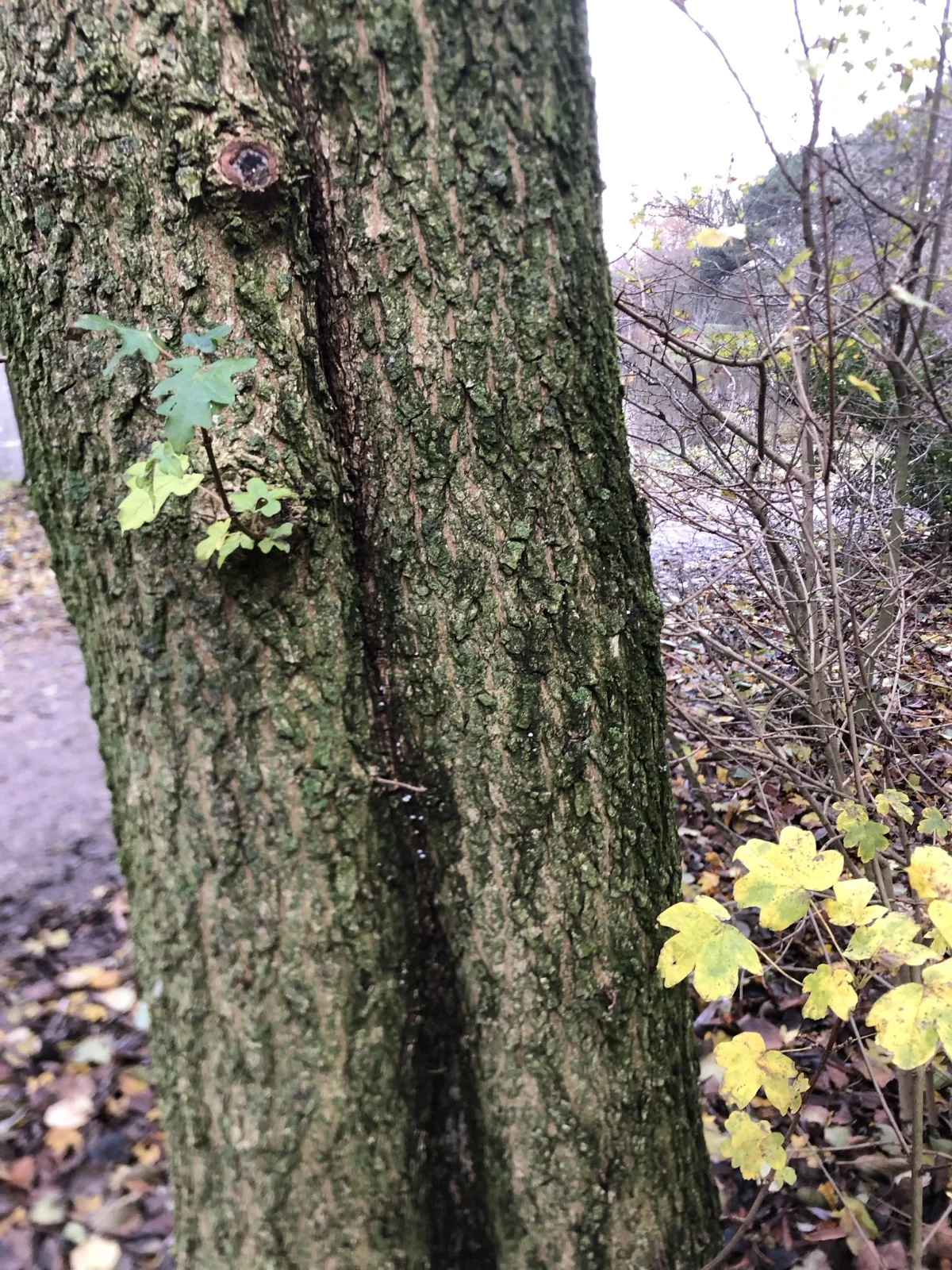 It's not Youth, it's Us. Youth Suicides and Rosi Braidotti's Posthuman