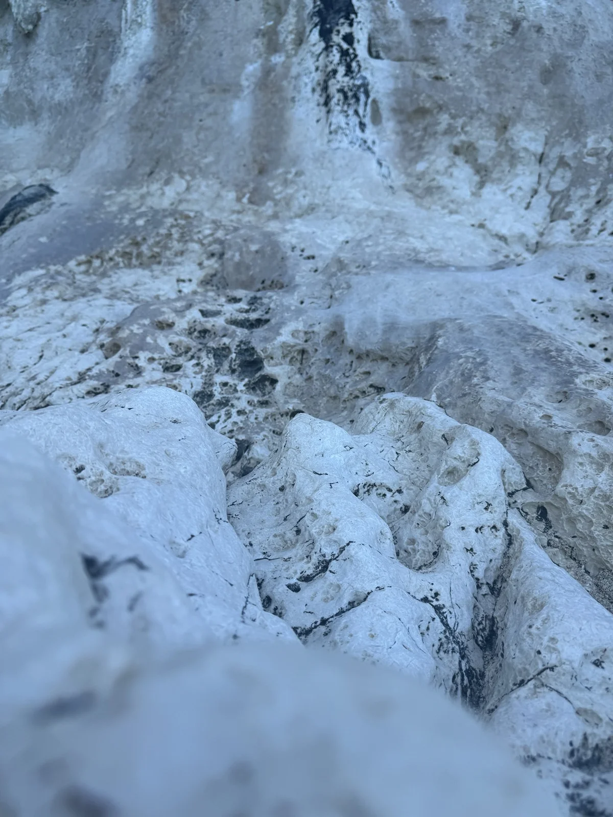 Il rapporto lingua-terra-corpo da Gramsci alla letteratura postcoloniale