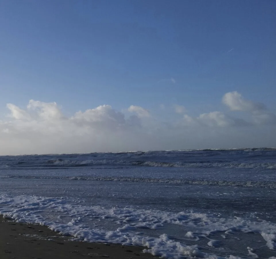 Più alto del mare e la responsabilità dell'intellettuale impegnato