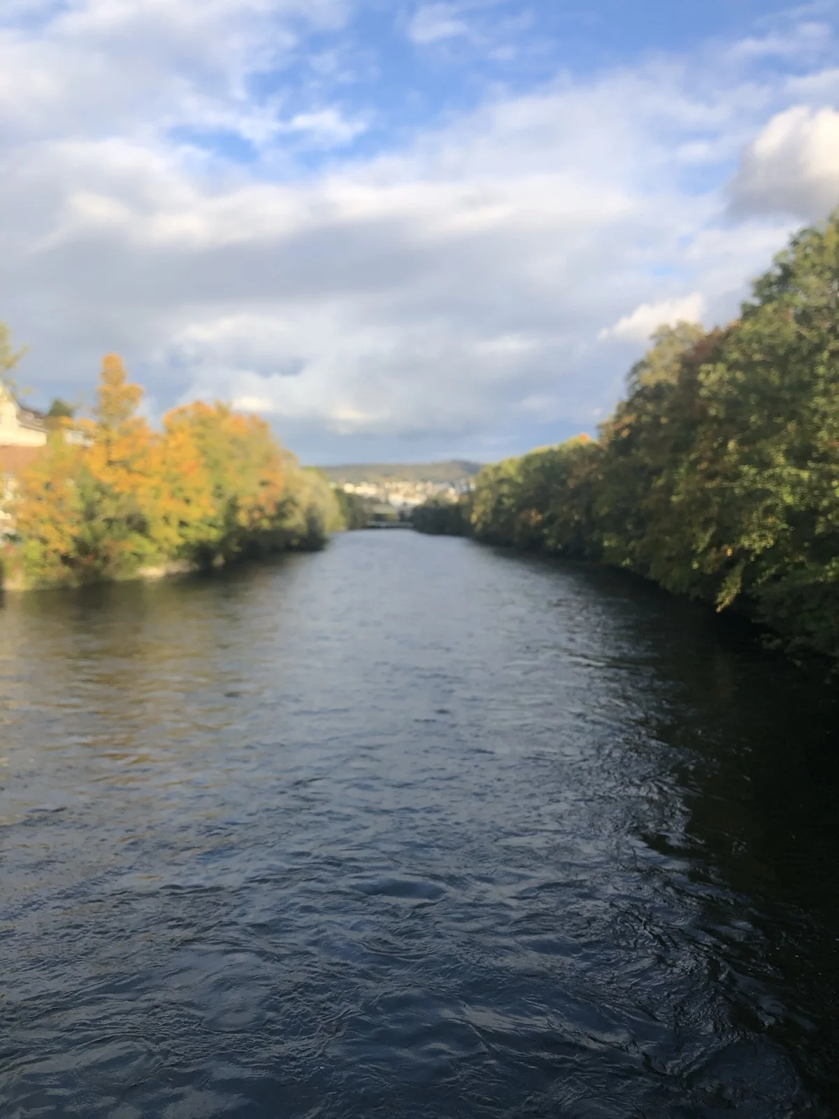 Speaking Like a Plant, Laughing Like a River. Language and Terra in Italian Postcolonial Literature